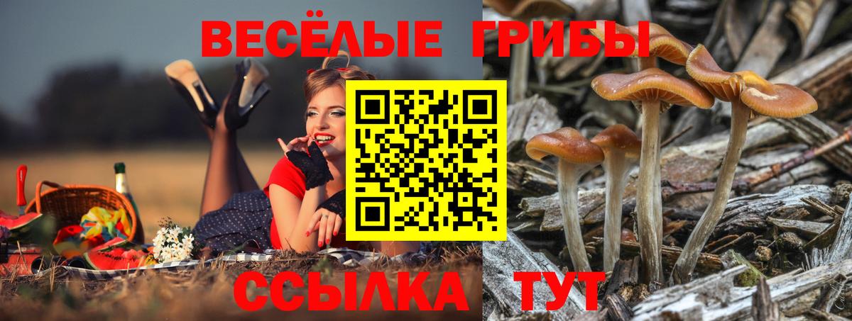 Псилоцибиновые грибы MAGIC MUSHROOMS Сунжа