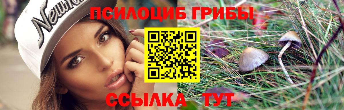 Галлюциногенные грибы мицелий  Вход с VPN  Псилоцибиновые грибы MAGIC MUSHROOMS  Сунжа 